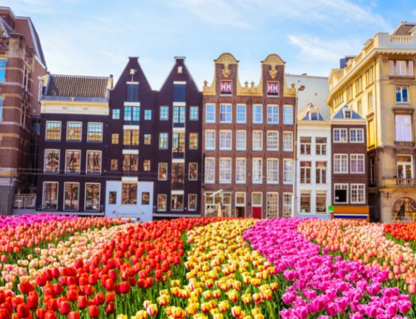 הצעת נישואין באמסטרדם עם הבניינים ההולנדים והפרחים המהממים